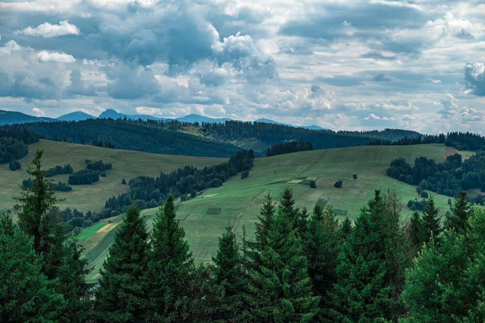 DSC_5169 — kopia.jpg