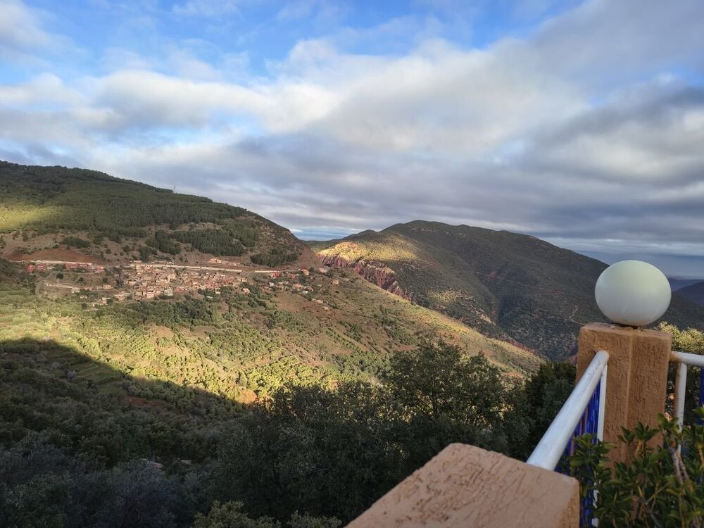 IMG_20260209_091556336_HDR.thumb.jpg.a78a09721309837e13e603bdac6d19e0.jpg
