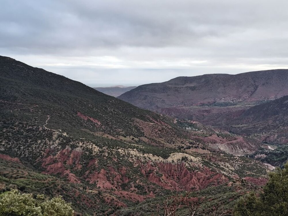 IMG_20260209_092501154_HDR.thumb.jpg.b5358758cdf518d05c59726be18a248b.jpg
