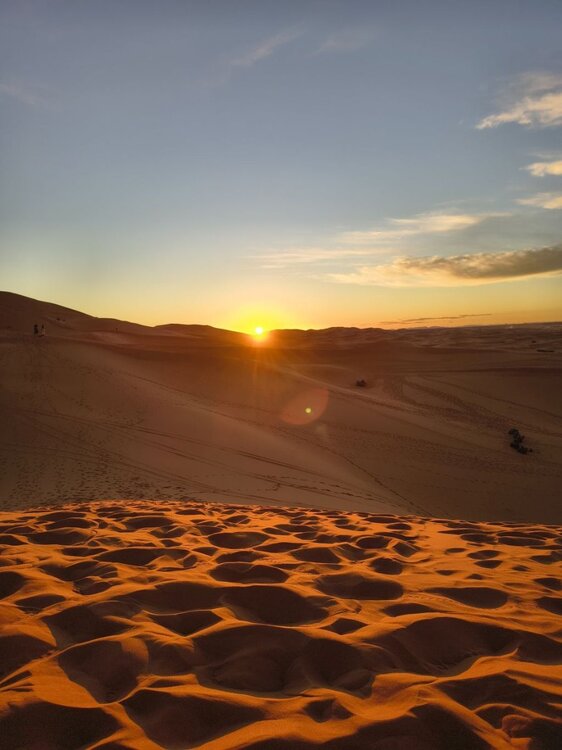 IMG_20260210_185416107_HDR.thumb.jpg.c35c5a148ad099b47c9103e7be2f2d64.jpg